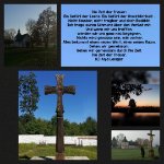 das zu drehende Bild