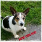 ein Bild aus dem Album