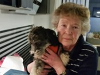 ein Bild aus dem Album