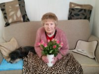 ein Bild aus dem Album