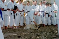 ein Bild aus dem Album