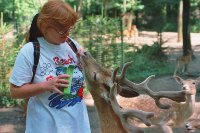 das zu löschende Bild