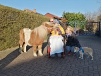 ein Bild aus dem Album