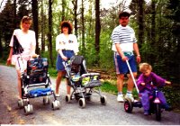 das zu meldende Bild