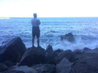 das zu drehende Bild