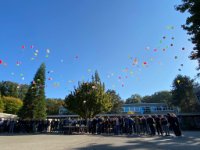 ein Bild aus dem Album