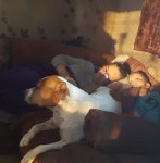 ein Bild aus dem Album