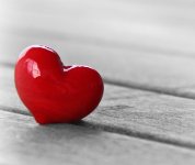 das zu meldende Bild