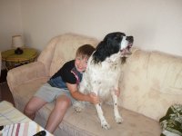 ein Bild aus dem Album