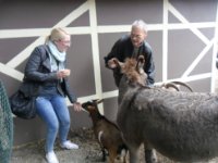 ein Bild aus dem Album