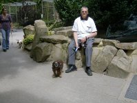 ein Bild aus dem Album