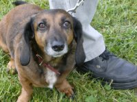 ein Bild aus dem Album